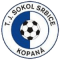 TJ Sokol Srbice logo