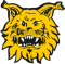 Ilves logo