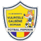 Vulpitele Galbene Roman(w) logo