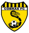 Bentleigh Utd Cobras logo