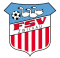 Zwickau  FC logo