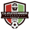 Atletico Mineros logo