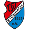 TSV Steinbach logo