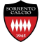 Sorrento U19 logo