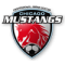 Chicago Mustangs(w) logo