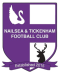 Nailsea Tickenham logo