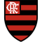 Flamengo Youth logo