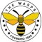 East Grinstead Town U18 logo