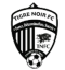 Fc Tigre Noir logo