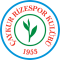 Caykur Rizespor U19 logo