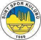 Siirtspor logo