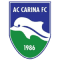 AC Carina logo